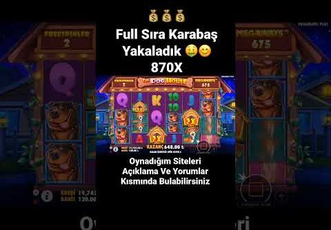 DogHouse l #shorts #slotvideoları #slot #casino #pragmaticplay #slotizle #bigwin