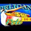 Wonder 4 Wonder Wheel Pelican Pete Slot – SUPER FREE GAMES – $10 Max Bet!