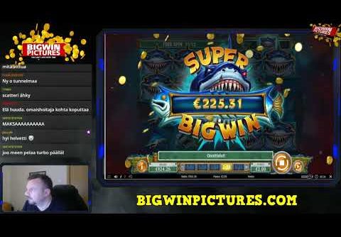 MEGA DON SLOT – SHARK PARTY BIG WIN!!