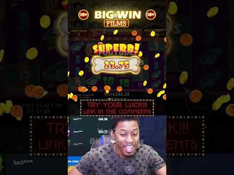 Big win in The Dog House bonus game | RECORD WINS OF THE WEEK | BIGGEST WINS | #BigWinFilms