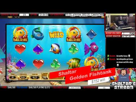 Biggest Slot wins on Stream – Week 47 / 2016