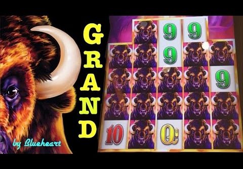 BUFFALO GRAND slot BIGGEST JACKPOT HANDPAY Buffalo Line Hit on YouTube