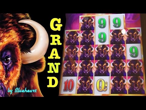 BUFFALO GRAND slot BIGGEST JACKPOT HANDPAY Buffalo Line Hit on YouTube