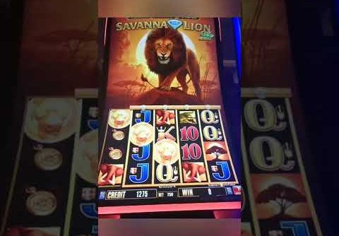 #Big Win On SAVANNA LION SLOT MACHINE# Free Game Session