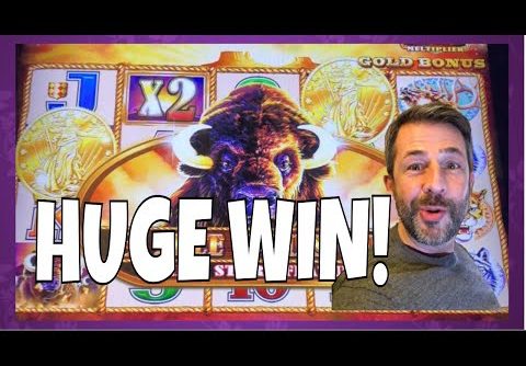 IT’S MY 2nd BIGGEST BUFFALO WIN EVER! ✧✧  Lots of slot machine pokie bonus wins!