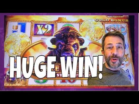 IT’S MY 2nd BIGGEST BUFFALO WIN EVER! ✧✧  Lots of slot machine pokie bonus wins!