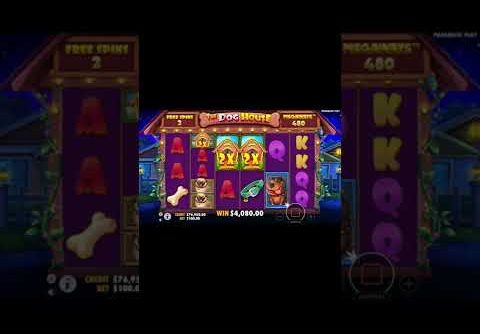 The Dog House Megaways  FREE SPINS CASINO ONLINE SLOT GAME#8