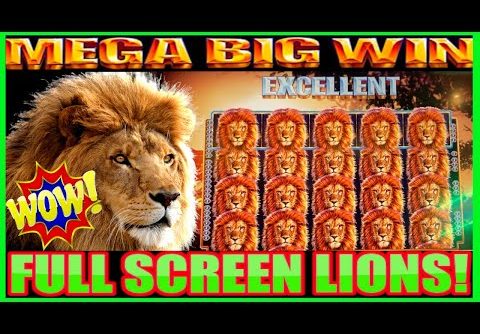 **MEGA HUGE WIN!** ALL THE LIONS! King of Africa WMS Slot Machine Bonus