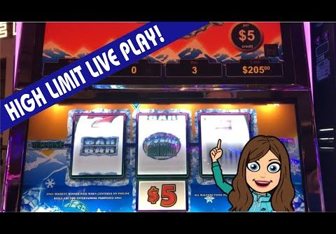 VGT POLAR HIGH ROLLER SLOT MACHINE ❄️ AND BUFFALO DELUXE 🎰 BIG WIN, HIGH LIMIT!