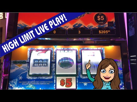 VGT POLAR HIGH ROLLER SLOT MACHINE ❄️ AND BUFFALO DELUXE 🎰 BIG WIN, HIGH LIMIT!