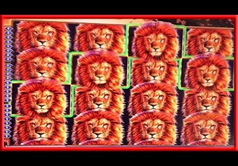 ** WIFES BIG WIN on KING OF AFRICA ** SLOT LOVER **