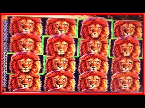 ** WIFES BIG WIN on KING OF AFRICA ** SLOT LOVER **