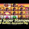 Super Stampede Mega Big Win! NEW Buffalo Ascension Slot Machine! 30 Minutes of Pain, 1 Minute of Joy