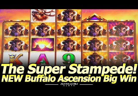 Super Stampede Mega Big Win! NEW Buffalo Ascension Slot Machine! 30 Minutes of Pain, 1 Minute of Joy