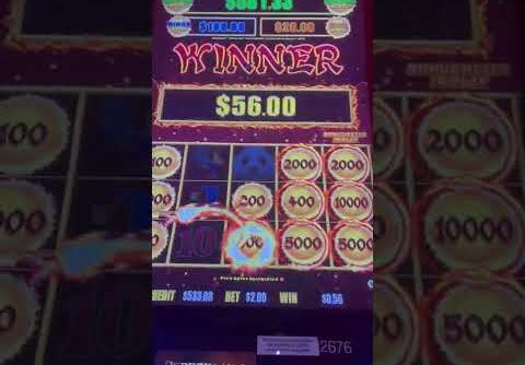 Big win on dragon link slot machine