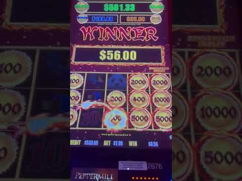 Big win on dragon link slot machine