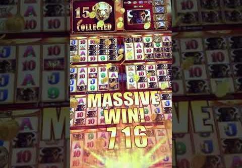 My biggest win on any version of a Buffalo slot machine!