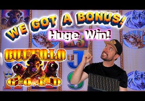 Huge Win on Buffalo Gold Slot! Bonus finally comes through | Live Slot Play at Casino