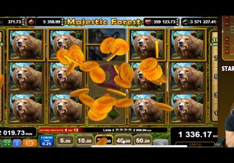 PATRU URSI LA MAJESTIC FOREST EGAL MEGA WIN?! Pacanistii 446. #aparate #pacanele #slots