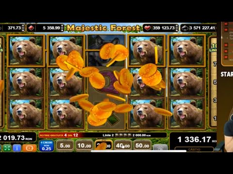 PATRU URSI LA MAJESTIC FOREST EGAL MEGA WIN?! Pacanistii 446. #aparate #pacanele #slots