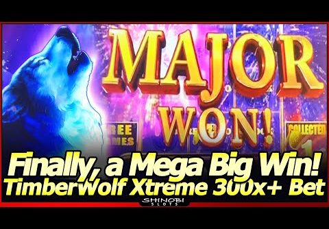 TimberWolf Xtreme Slot Machine – MAJOR Jackpot Won!  Finally a Mega Big Win in this tough game!