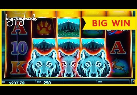 GREAT SESSION, LOVE IT! Quick Hit Wolf Mountain Slot – BIG WIN!