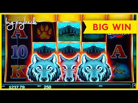 GREAT SESSION, LOVE IT! Quick Hit Wolf Mountain Slot – BIG WIN!