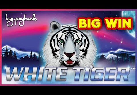 White Tiger Slot – BIG WIN BONUS – SHORT & SWEET!