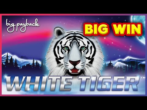 White Tiger Slot – BIG WIN BONUS – SHORT & SWEET!