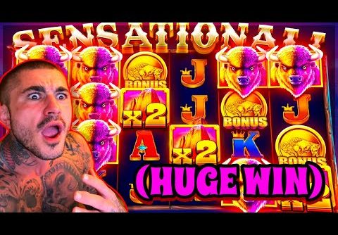 Buffalo King VERSUS Buffalo KIng Megaways!! SLOT BATTLE (HUGE WIN)