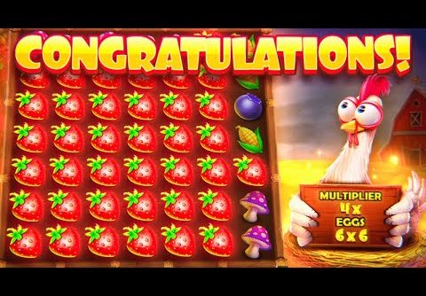 MY BIGGEST WIN EVER ON CHICKEN DROP… (CRAZY SETUP)
