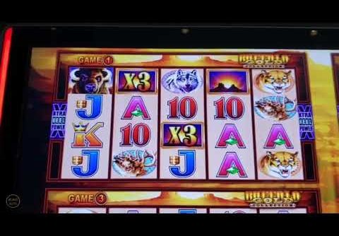 BUFFALO GOLD SLOT MACHINE   SUPER FREE GAMES   AMAZING SESSION   RETEIGGER 1