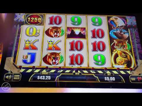 I PUT A BIG FIGHT WITH BUFFALO! Cash Express Luxury Line Slot Machine MAX BET BONUS 1