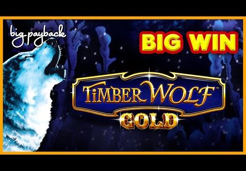 Wonder 4 Boost Gold Timber Wolf Gold Slot – BIG WIN SESSION!