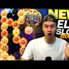 Big Win on NEW ELK SLOT! Cygnus 2 Highlight