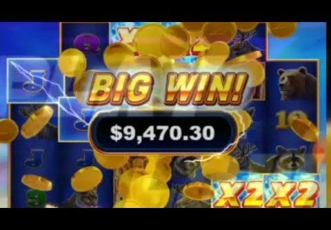 part 1 playtech buffalo blizt II big win / slot playtech