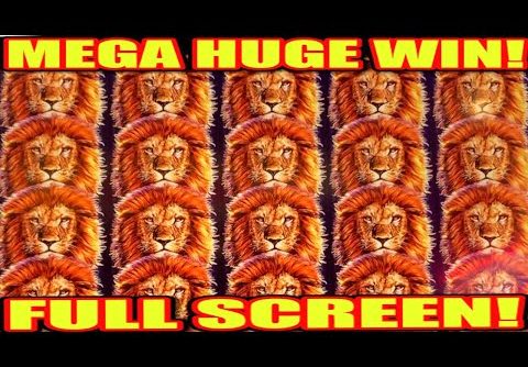 **HUGE MEGA WIN!** FULL SCREEN BONUS! King of Africa WMS Slot Machine Wins