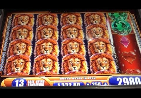 KING OF AFRICA SLOT!!! Am I the dumbest or smartest gambler?: The Conclusion!! SUPER BIG WINS