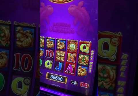 Online Casino Big Win ® World Record Win. Slot Machine Razor Shark Big Win. Online Casino Pf