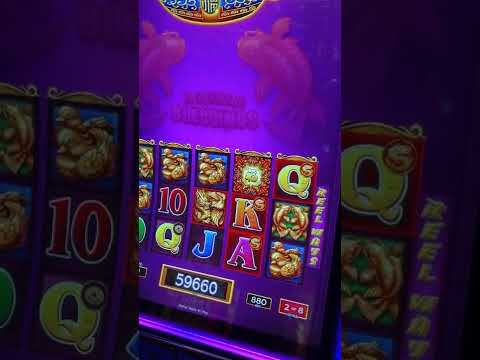 Online Casino Big Win ® World Record Win. Slot Machine Razor Shark Big Win. Online Casino Pf