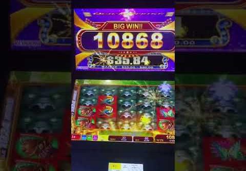 African beat mega wins slot win