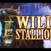 WILD STALLION SLOT MACHINE BIG WIN BONUS and SOMEONE TRIED TO STEAL MY TICKET!  PALA CASINO