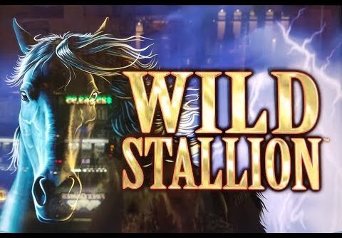 WILD STALLION SLOT MACHINE BIG WIN BONUS and SOMEONE TRIED TO STEAL MY TICKET!  PALA CASINO