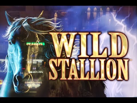 WILD STALLION SLOT MACHINE BIG WIN BONUS and SOMEONE TRIED TO STEAL MY TICKET!  PALA CASINO