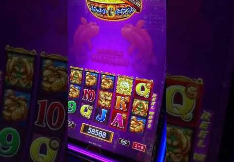 Big Win Online Casino ® World Record Win. Slot Machine Razor Shark Big Win. Online Casino Pf