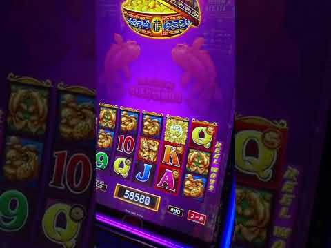 Big Win Online Casino ® World Record Win. Slot Machine Razor Shark Big Win. Online Casino Pf