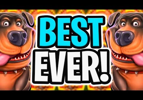 MY BEST SESSION EVER 😱 THE DOG HOUSE MEGAWAYS SLOT‼️🔥 *** MEGA BIG WINS ***