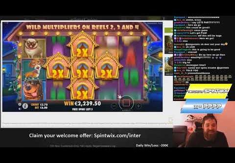 The Dog House  top 5 BIG WINS   Record win on slot