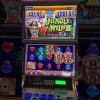 Jungle wild 3 slot mega go win