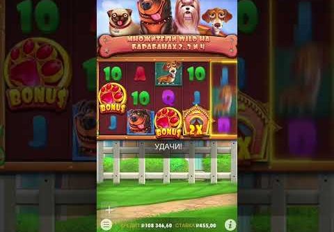 Live Casino , Mega Win! Slots Online